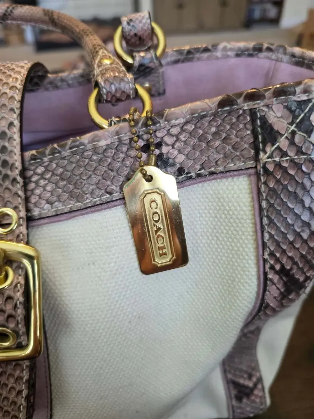 Coach Canvas and Snakeskin Trim Boxy Tote Handbag